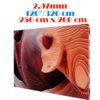 Ecran LED profesional 250 cm x 200 cm, pixel pitch 2.97 mm, diagonala 126”/320 cm, rezolutie 840 x 672, luminozitate 800 nits, de interior, premium, cu led Nationstar 1