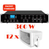 Sistem de sonorizare si adresare publica pentru terenuri de sport cu difuzoare de exterior DPS-300 si amplificator PAZ-5006, CKS, cu mixer si player media integrat, MP3 prin USB și SD, tuner FM, Bluetooth, total putere 360W 1