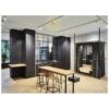 Difuzor activ wireless, surround 360°, suspendat, pentru adresare publica, 70W, 4″, alb, Spottune OMNI-TRACK/WS, Monacor 2